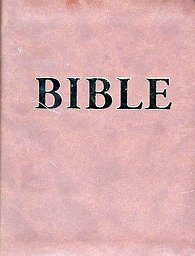 Bible (v kůži)