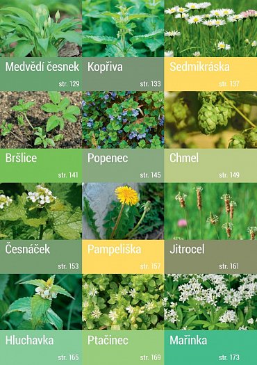 Náhled Jedlé město - Vyjděte do ulic! 36 zdraví prospěšných rostlin hned za humny a přes 100 receptů, díky nimž ušetříte a které vám udělají radost