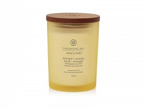 Vonná svíčka CHESAPEAKE BAY CANDLE Strength & Energy 250g