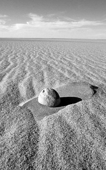 Náhled Podstata pouště: Kde se v poušti bere písek a proč duny zpívají - objevování fascinujícího světa