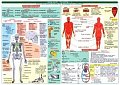 Tabulka - biologie člověka, 1.  vydání