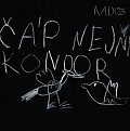 Čáp nejni kondor