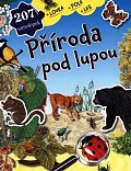 Příroda pod lupou - louka, pole, les