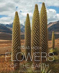 Flowers of the Earth