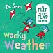 Wacky Weather: A flip-the-flap book