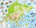 Puzzle Asia Topographic Map