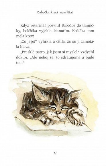 Náhled Babočka, která neumí létat - Klinika U bolavé tlapky