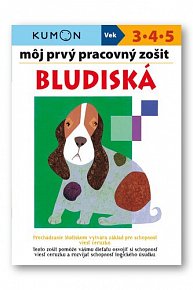 Môj prvý pracovný zošit Bludiská