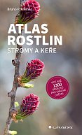 Atlas rostlin - Stromy a keře