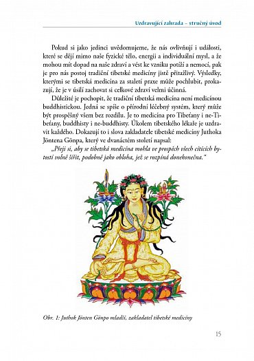 Náhled Tibetská kniha zdraví - Sowa rigpa – tibetské umění léčit