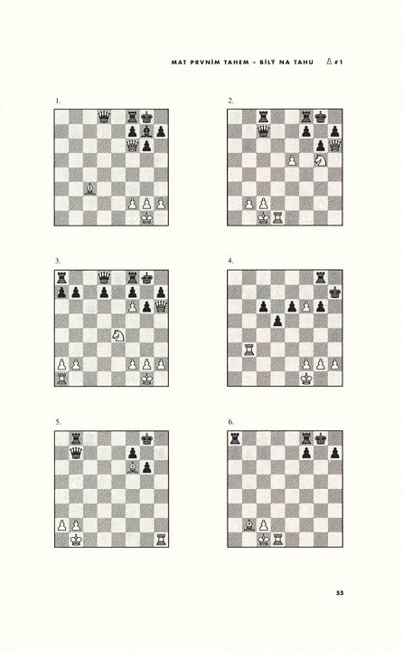 Náhled Šachy - 5334 úloh, kombinací a partií, 1.  vydání