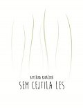 Sem cejtila les