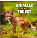 NOTIQUE Poznámkový kalendář Zvířátka z lesa 2025, 30 x 30 cm