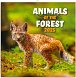 Kalendář 2025 poznámkový: Zvířátka z lesa, 30 × 30 cm