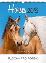 Kalendář nástěnný 2018 - Koně - prodloužená verze