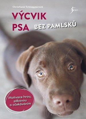 Výcvik psa bez pamlsků