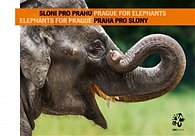 Sloni pro Prahu - Praha pro slony / Elephants for Prague - Prague for Elephants (ČJ, AJ)