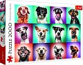 Trefl Puzzle Legrační portréty psů II / 2000 dílků