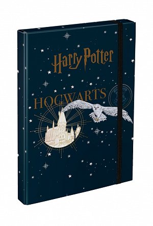 BAAGL Harry Potter Desky na školní sešity A4 - Bradavice Erb