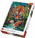Trefl Puzzle Plížící se tygr / 1000 dílků