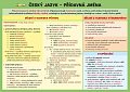 Český jazyk – Přídavná jména