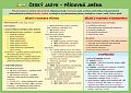 Český jazyk – Přídavná jména