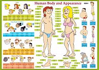 Human Body and Appearance / Lidské tělo - Naučná karta