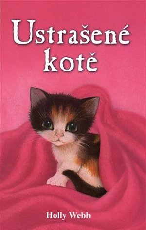 Ustrašené kotě
