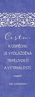 Plechová cedulka "Cesta k úspěchu je vydlážděná trpělivostí a vytrvalostí"