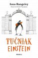 Tučniak Einstein