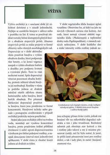 Náhled Orchideje - Rady, péče, pěstování