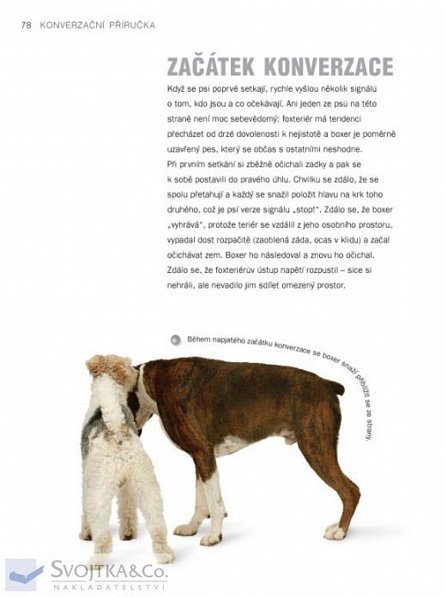 Náhled Řeč psího ocásku - Tajný jazyk psů