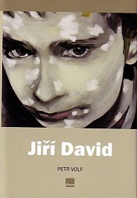 Jiří David - Obrazy, objekty, instalace, fotografie 1984 - 2004 - edice Album