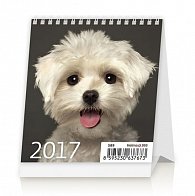 Kalendář stolní 2017 - Mini Puppies