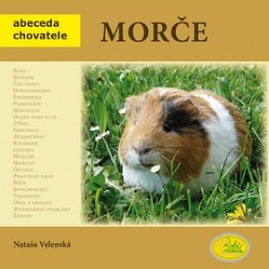 Morče - Abeceda chovatele