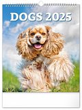 Kalendář 2025 nástěnný: Psi, 30 × 34 cm