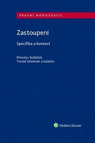 Zastoupení - Specifika a kontext