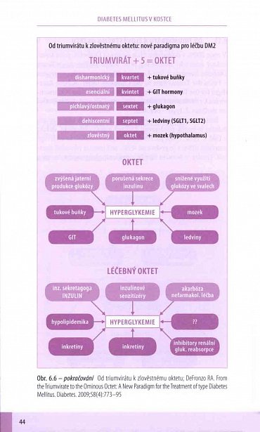 Náhled Diabetes mellitus v kostce