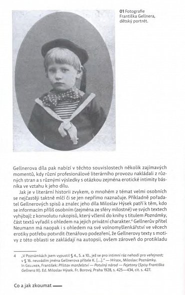 Náhled František Gellner: Text – obraz – kontext