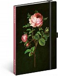 Notes Růže Kateřiny Winterové, tečkovaný, 13 × 21 cm