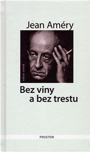 Bez viny a bez trestu