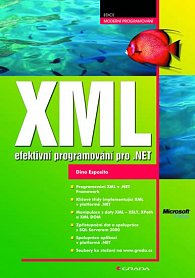 XML efektivní programování pro .NET