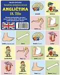 Najdi dvojici - Angličtina - 18. Tělo