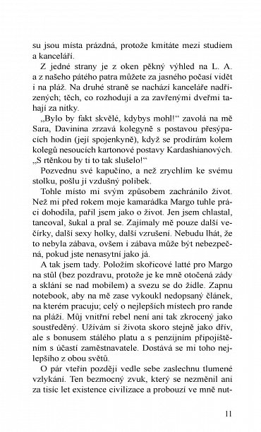 Náhled Neprofesionál