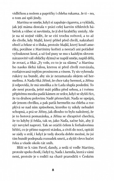 Náhled Lada u ledu