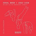 Sokol Brno I (1862-1938) - Dějiny elitní moravské jednoty