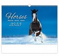 Horses/Pferde/Koně/Kone 2023 - nástěnný kalendář