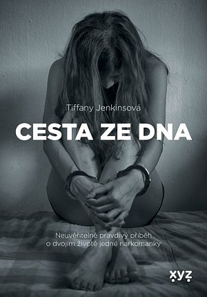 Cesta ze dna - Neuvěřitelně pravdivý příběh o dvojím životě jedné narkomanky