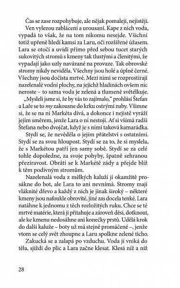 Náhled Praskliny