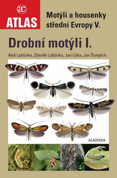 Náhled Drobní motýli I. - Motýli a housenky střední Evropy V.